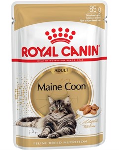 Паучи Maine Coon Adult для взрослых кошек породы мейн кун кусочки в соусе 85 г 85 г Royal canin