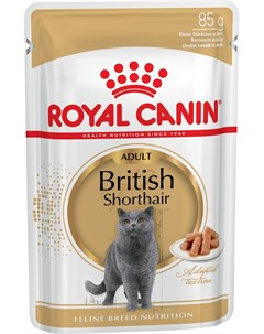 Паучи British Shorthair Adult для взрослых британских короткошерстных кошек кусочки в соусе 85 г 85  Royal canin