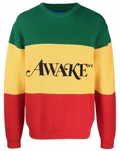 Джемпер с логотипом Awake ny