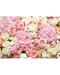 Фотообои Розовое великолепие 360х254см Decoretto