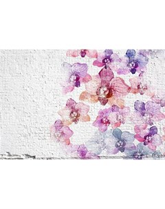 Фотообои Орхидеи на кирпичной стене 360х254см Decoretto