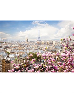 Фотообои Весна в Париже 360х254см Decoretto