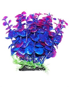 Растение аквариумное Бакопа сине фиолетовая Уют