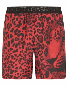 Плавки шорты с леопардовым принтом Dolce&gabbana