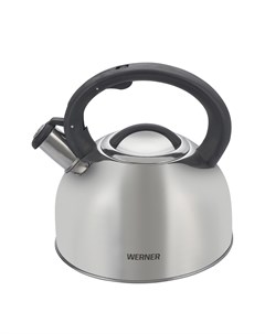 Чайник для плиты Revere Werner