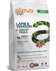 Сухой корм Holistic Adult Lamb Venison Medium maxi с ягненком и олениной женьшенем для собак средних Alleva