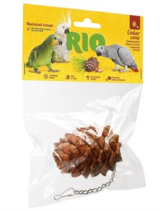 Лакомство игрушка Cedar Cone кедровая шишка для крупных попугаев 1 шт Rio