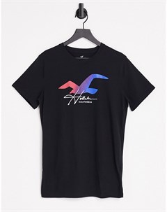 Черная футболка с логотипом в виде чайки с эффектом омбре Hollister