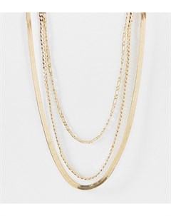 Золотистое ярусное ожерелье в винтажном стиле ASOS DESIGN Curve Asos curve