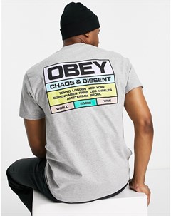 Серая футболка с принтом на спине Build To Last Obey