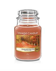 Свеча большая в стеклянной банке Путешествие по лесу Yankee candle
