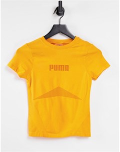 Оранжевая бесшовная футболка Training Evoknit Puma