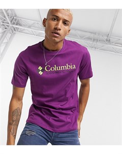 Фиолетовая футболка CSC эксклюзивно для ASOS Columbia