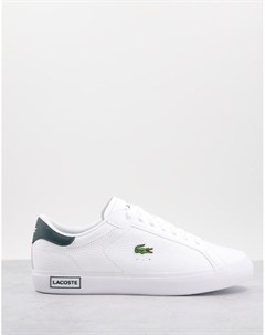 Бело зеленые кроссовки Powercourt 0721 Lacoste