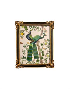 Картина индокитайский зеленый павлин версия 1 в раме селин мультиколор 24x29x2 см Object desire