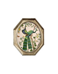 Картина индокитайский зеленый павлин версия 1 в раме эдита мультиколор 24x29x3 см Object desire