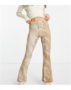 Расклешенные брюки из сетки с волнистым принтом в горошек от комплекта Topshop petite