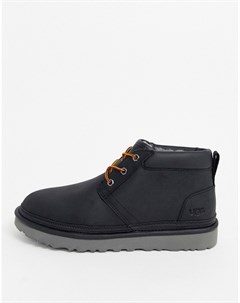 Черные короткие кожаные ботинки в стиле милитари со шнуровкой Neumel Ugg