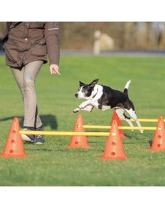 Набор препятствий для аджилити Dog Activity 6 конусов 3 рейки для собак 23 30 см 78 см Trixie