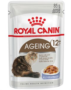 Паучи Ageing 12 в желе для кошек старше 12 лет 85 г Royal canin