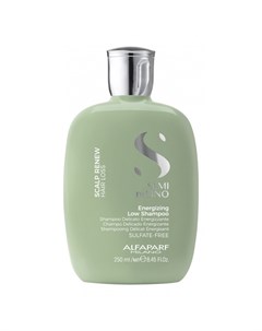 Энергетический шампунь против выпадения волос SDL Scalp Energizing Shampoo Alfaparf