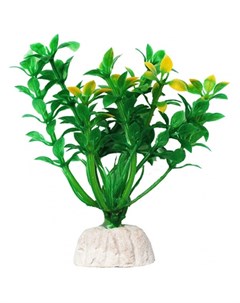 Растение аквариумное Гемиантус зелено желтый Уют