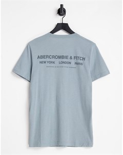 Светло синяя футболка с принтом логотипа и названиями городов на спине Abercrombie & fitch