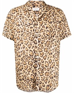 Рубашка с леопардовым принтом Tintoria mattei