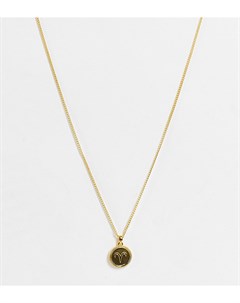Ожерелье с позолотой 14 карат и подвеской со знаком Овен Asos design