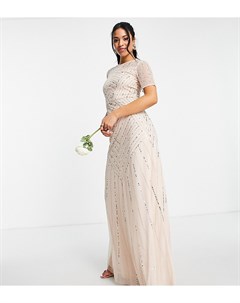 Платье макси нежно розового цвета с короткими рукавами и декоративной отделкой Bridesmaid Frock and frill tall