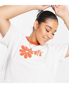 Белая футболка с логотипом принтом цветка и окантовкой Levi's plus