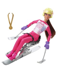 Кукла Зимние виды спорта Лыжник паралимпиец Barbie