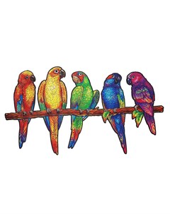 Деревянный пазл Игривые попугаи 5 в 1 104 детали Unidragon