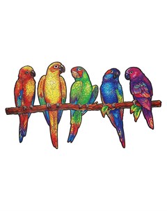Деревянный пазл Игривые попугаи 5 в 1 193 детали Unidragon