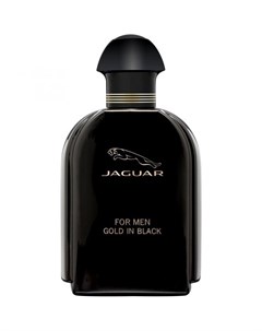 Gold In Black Jaguar