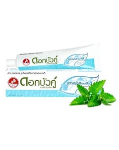 Зубная паста Herbal Fresh Cool 100 г Twin lotus (dok bua ku)