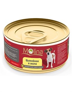 Влажный корм для собак Цыпленок в Желе 0 085 кг Molina
