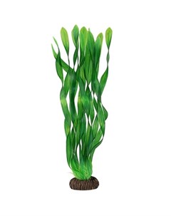 Растение зелёное Валиснерия спираль Laguna