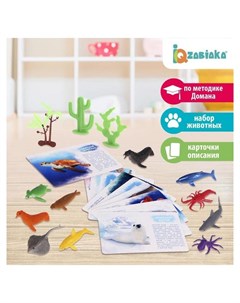 Набор животных с обучающими карточками Подводный мир животные пластик карточки Iq-zabiaka