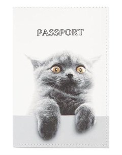 Обложка для паспорта цвет белый Nnb