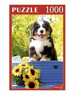 Пазлы 1000 элементов Милый щенок Konigspuzzle