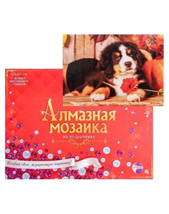 Алмазная мозаика с полным заполнением 30 40 см Щенок зенненхунда Рыжий кот (red cat toys)