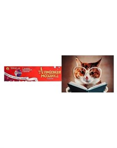Алмазная мозаика 30 40 см классическая полное заполнение б подрамника Кот с книгой Рыжий кот (red cat toys)
