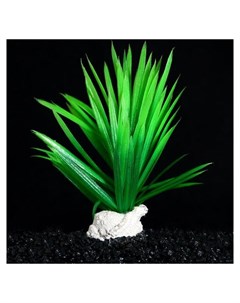Растение искусственное аквариумное на подставке с ракушкой 7 х 4 5 х 13 5 см Compаnion