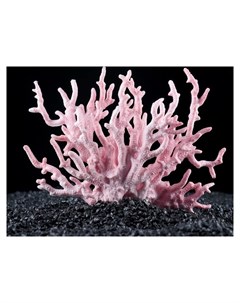 Коралл пластиковый малый 17 х 6 х 13 см розовый Кнр