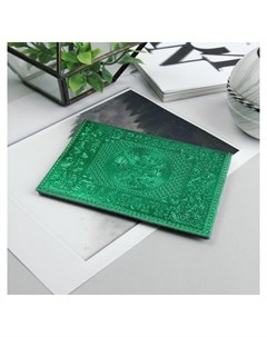 Обложка для паспорта металлик цвет зелёный Nnb
