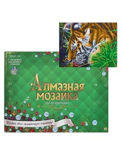 Алмазная мозаика блестящая 30х40 см с подрамником с частичным заполнением 20 цветов Тигр у ручья Рыжий кот (red cat toys)