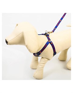 Комплект Super Dog шлейка 28 47 см поводок 120 см макс вес 10 кг Пушистое счастье