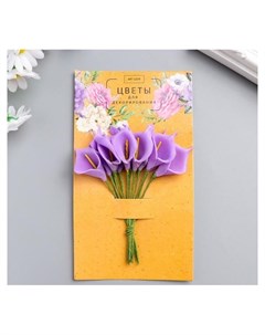 Цветы для декорирования Фиолетовые каллы 1 букет 12 цветов 16х9 см Арт узор