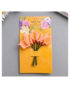 Цветы для декорирования Персиковые каллы 1 букет 12 цветов 16х9 см Арт узор